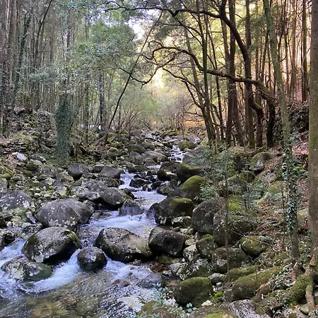 펜션 Casa Do Campo Lestrove *