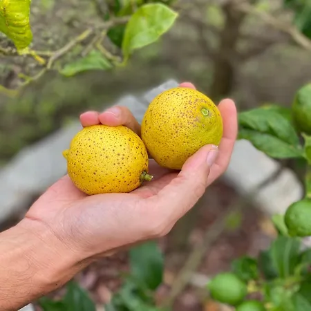 Casa Do Campo Lestrove 패트론