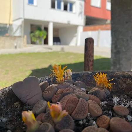 Casa Do Campo Lestrove *