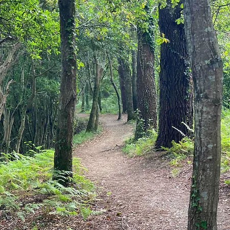 펜션 Casa Do Campo Lestrove 패트론
