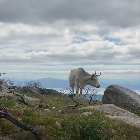 Casa Do Campo Lestrove *