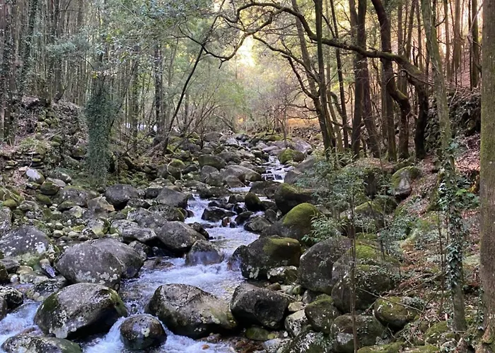 Σπίτι διακοπών Casa Do Campo Lestrove *