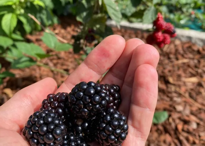 Casa Do Campo Lestrove * Падрон