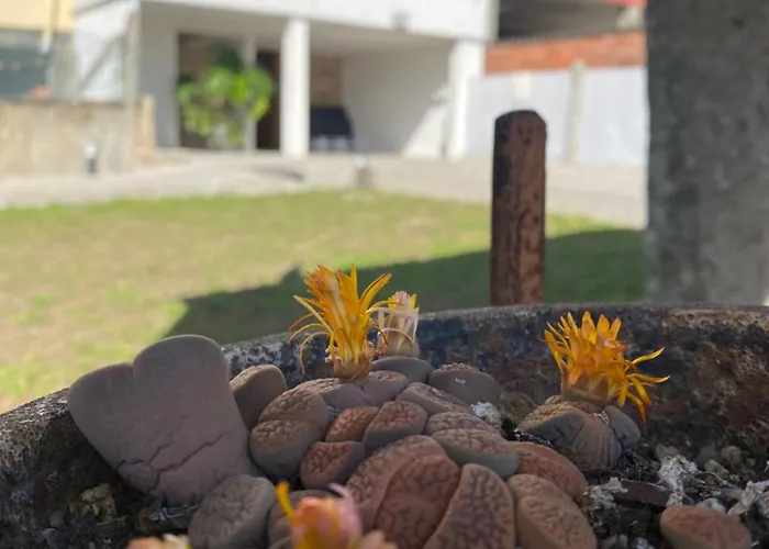 Casa Do Campo Lestrove *