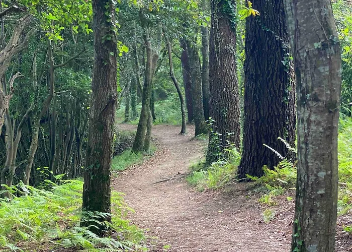 Tatil Evi Casa Do Campo Lestrove Padrón