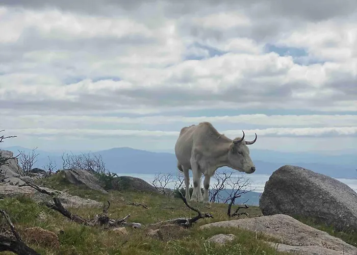 Casa Do Campo Lestrove *